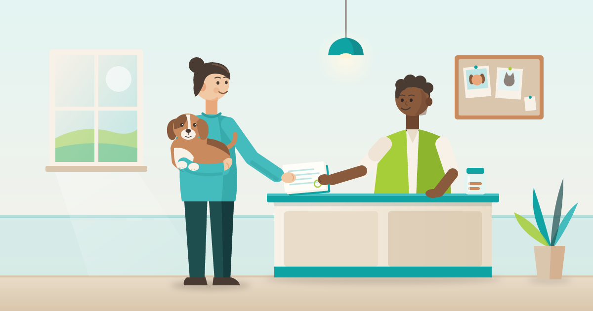 Proceso y costos de adopción